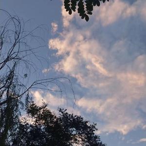 麻豆视频国产剧情演绎
